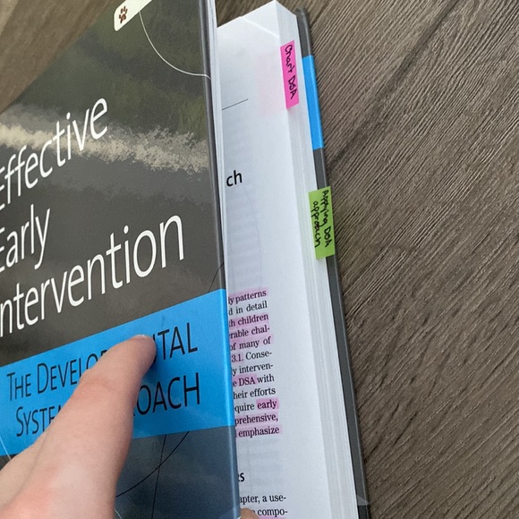 Effective Early Intervention: The developmental systems approach - Picture 3 of 4